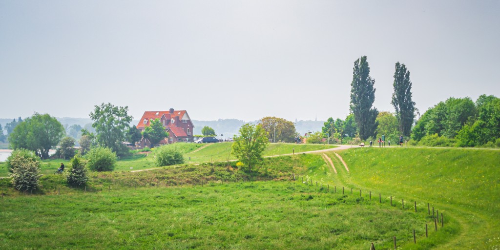 Photo by <a href="https://unsplash.com/@jzwaan?utm_source=unsplash&utm_medium=referral&utm_content=creditCopyText">Jos Zwaan</a> on <a href="https://unsplash.com/photos/F2iHFbQ66Vk?utm_source=unsplash&utm_medium=referral&utm_content=creditCopyText">Unsplash</a>