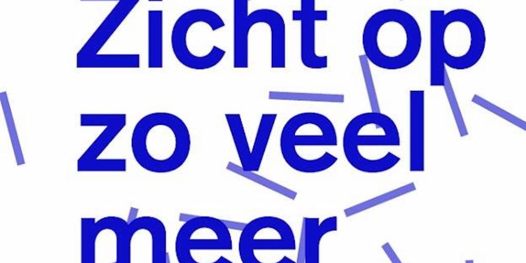 Raad voor Cultuur slaat plank mis met betoog voor toegankelijkheid van Nederlandse content
