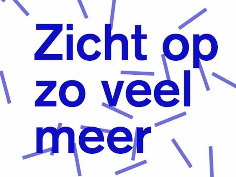 Raad voor Cultuur slaat plank mis met betoog voor toegankelijkheid van Nederlandse content